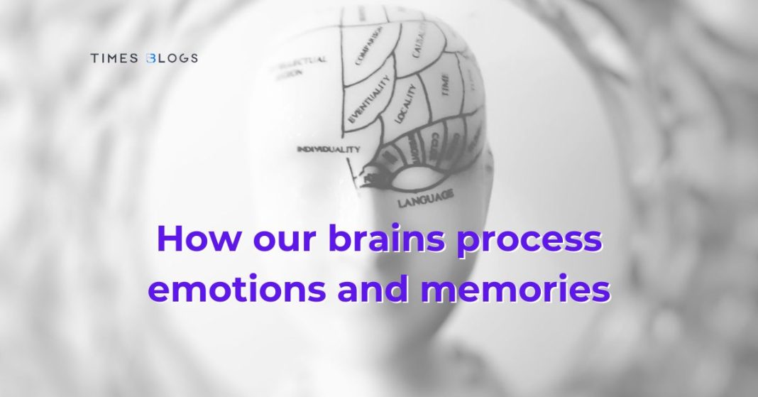 How our brains process emotions and memories