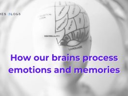 How our brains process emotions and memories