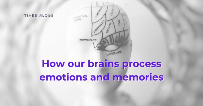 How our brains process emotions and memories How our brains process emotions and memories