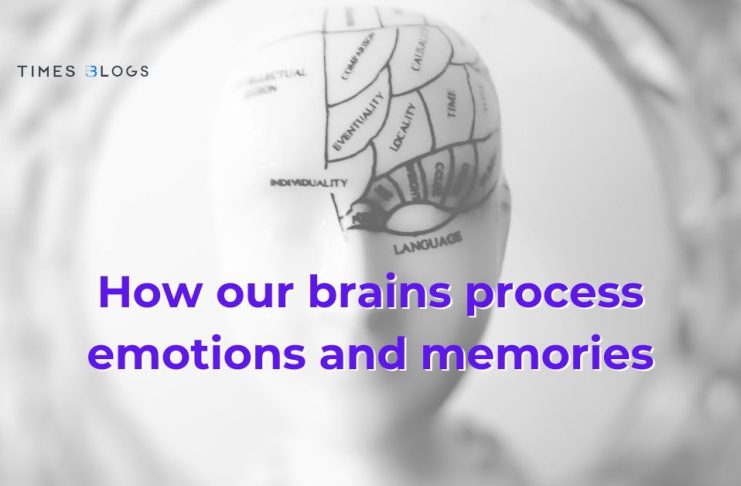 How our brains process emotions and memories