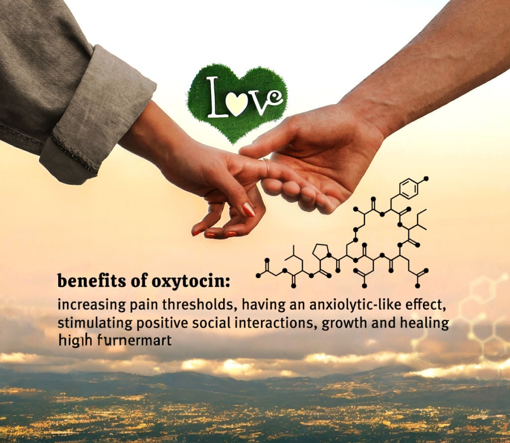 oxytocin hormone in love