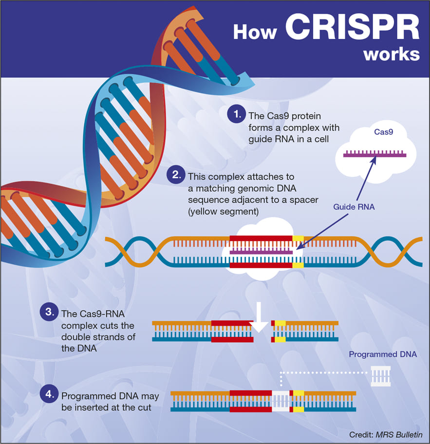 CRISPR Technology How it works